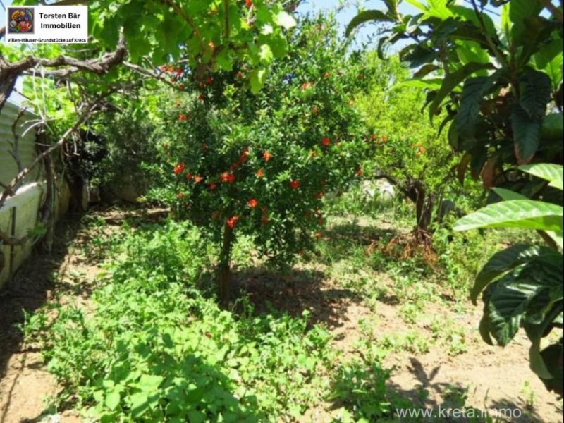 Sitia Kreta, Sitia, Haus mit großem Garten in Strandnähe zu verkaufen in Sitia Haus kaufen